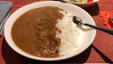 【ふるさと納税】陸の海賊 瑠璃カレーセット 冷凍食品 個食カレー 生カレー レトルト 冷凍 送料無料 ※着日指定送不可