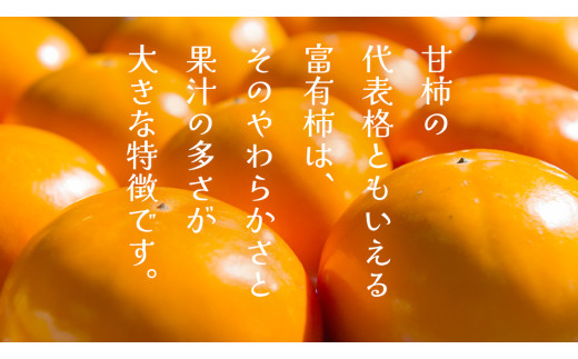 富有柿 12～16玉（茨城県共通返礼品：かすみがうら市） 【2026年11月中旬発送開始】 柿 かき 富有カキ ( 1箱 ) 果物 フルーツ くだもの カキ 富有かき 秋 旬 発送 産地直送 農家直送