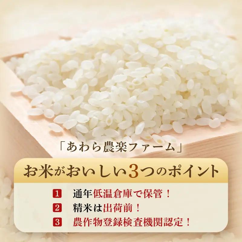 【先行予約】【令和8年産・新米】【一等米】いっちょらい 精米 10kg×1袋 ／ 福井県産 ブランド米 コシヒカリ ご飯 白米 お米 コメ 新鮮 大賞 受賞 新米 福井県あわら産 ※2026年9月下旬