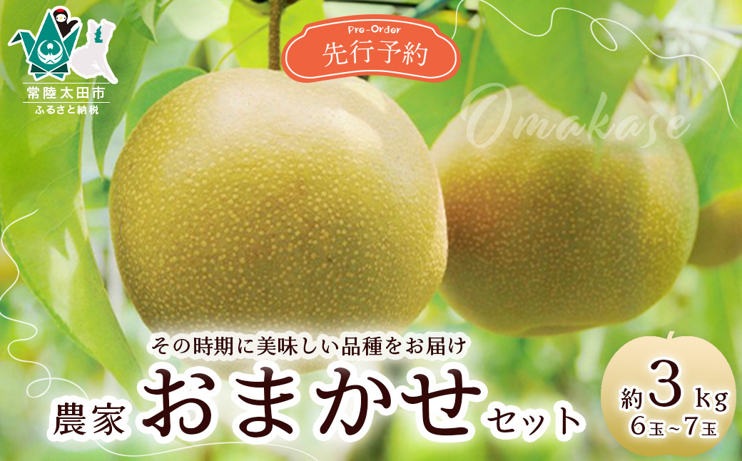 
            【先行予約 2025年】梨 桧山果樹園 おまかせ 約3kg その時期においしい品種3種類 | 茨城県 常陸太田市 桧山果樹園 恵水 オリジナル 大きい みずみずしい 品種 梨 フルーツ 高級 産地直送 限定品 贈り物 新鮮 お取り寄せ デザート ギフト 風味豊か 大玉 香り 上品 希少価値 珍しい 地域 甘い 限定 果物 果樹
          