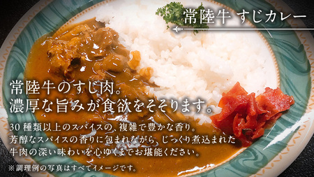 常陸牛 すじカレー 200g ×6 【茨城県共通返礼品】 