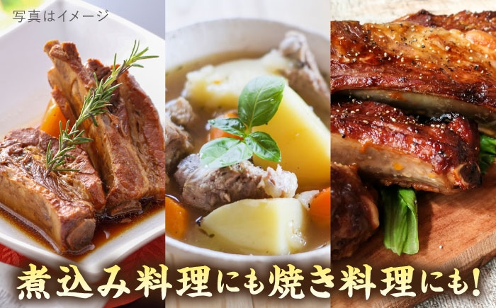国産 豚肉 九州産 糸島産 糸島豚 国産豚 バーベキュー 煮込み