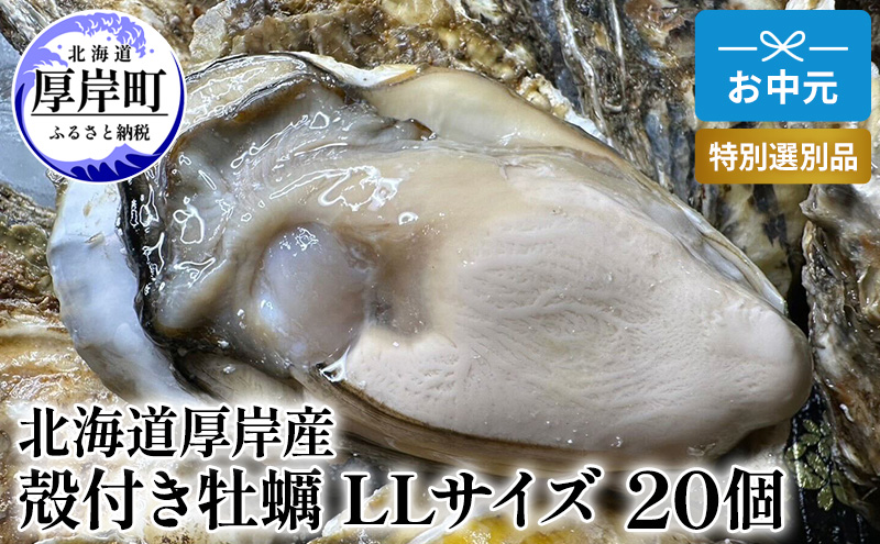 北海道 厚岸産 殻付き 牡蠣 LLサイズ 20個 お中元 特別選別品 魚貝類 生牡蠣 海鮮 海の幸 海産物 ふっくら 濃厚 甘み マルえもん オイスター 生食用殻付カキ 生食用 