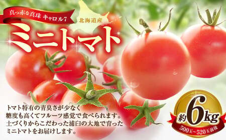 ミニトマト 約6kg 野菜 トマト キャロルセブン とまと 高糖度 浦臼産 北海道産 国産 6kg 北海道 浦臼町 【2025年7月下旬～9月上旬発送予定】