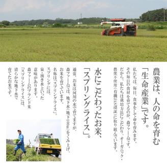 スプリングライス こしひかり・ミルキークィーン ブレンド (白米)10kg_BI28 米 こめ コメ 農家直送 森ファーム ※着日指定不可