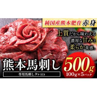 ふるさと納税 氷川町 馬刺し 国産 馬刺し 赤身 馬刺し 500g 【純国産熊本肥育】 生食用 冷凍