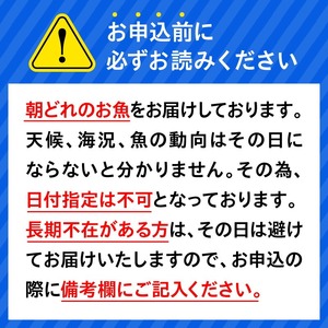 【6ヶ月定期便】大和海商　高級お刺身　4人前　冷凍　N072-ZE040_2