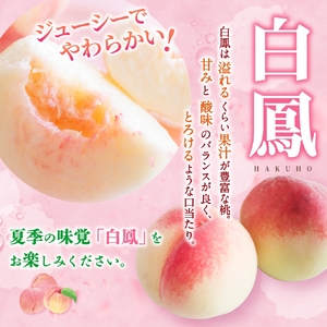 桃 【来年2026年出荷分 先行予約】和歌山県産 白鳳 11～15玉 秀品 ※2026年6月下旬から7月下旬ごろ発送【mtgn045】