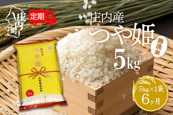 ＜10月下旬発送＞庄内米6か月定期便！つや姫無洗米 5kg（入金期限：2025.9.25）