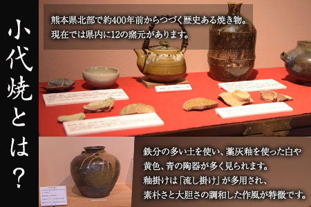 熊本県荒尾市 小代焼「中平窯」のマグカップ《180日以内に出荷予定(土日祝除く)》