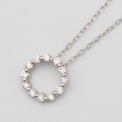 ふるさと納税 甲府市 PT900/PT850　0.15ctダイヤモンド　サークルペンダントネックレス　FHH-019916 |  | 01