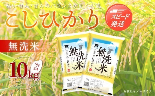 
                  【最短2～7営業日出荷】令和7年産 千葉県産「無洗米コシヒカリ」10kg（5kg×2袋） ふるさと納税 米 無洗米 コシヒカリ こしひかり 千葉県 大網白里市 A041
                