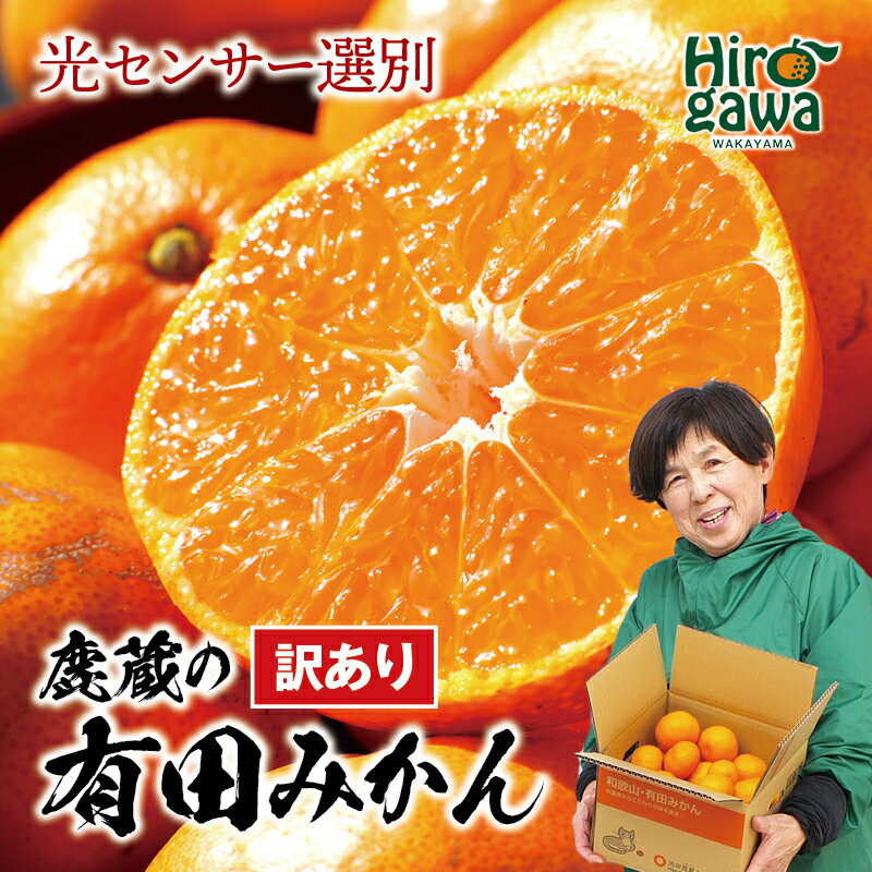 【ふるさと納税】 鹿蔵の 有田 みかん 訳あり 光センサー 選果 / 有田みかん 温州みかん 甘い 家庭用 和歌山 柑橘 お試し 送料無料 2.5kg 5kg 10kg 5000円 6000円 ※10月～1月下旬順次発送 ※北海道・沖縄・離島への配送不可 //mandarin //goku