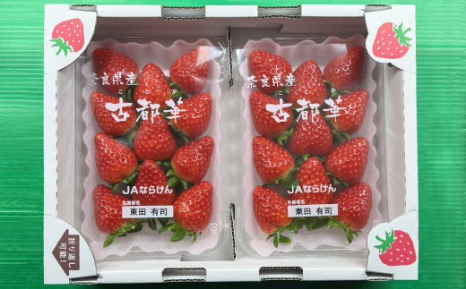 奈良県産いちご「古都華」2パック【配送不可地域：離島】
