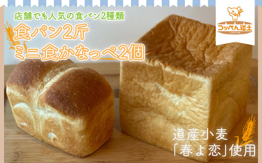 
【3ヵ月定期便】食パン2斤、ミニ食かなっぺ2個 KNE095
