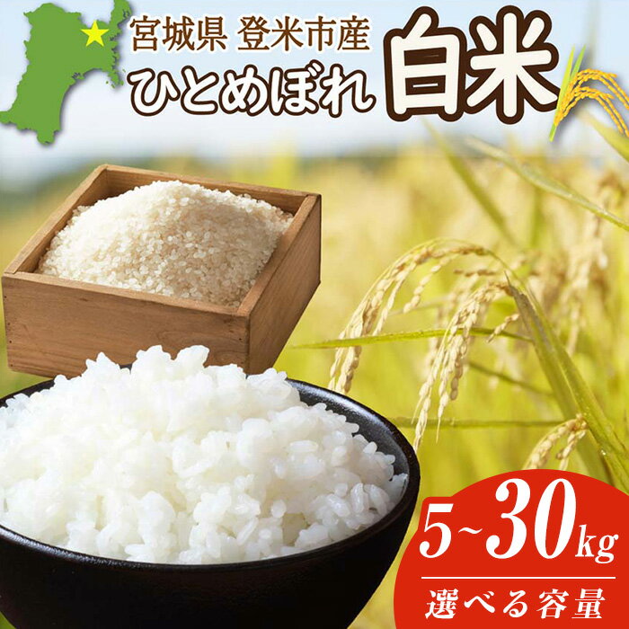 【ふるさと納税】≪令和7年産・新米≫ 宮城県登米市産 ひとめぼれ 5kg～30kg 選べる容量 精米 お米 おこめ 米 コメ 白米 ご飯 ごはん おにぎり お弁当 ブランド米 10kg【有限会社伊豆沼農産】tm405・tm407・tm480