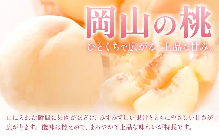 【定期便】旬のフルーツ定期便 岡山のﾌﾙｰﾂ 定期便 Aコース 2回定期便 岡山県産 桃 シャインマスカット ニューピオーネ 梨 《7月上旬-10月末頃出荷》岡山県 笠岡市 フルーツ 旬 果物 ぶどう