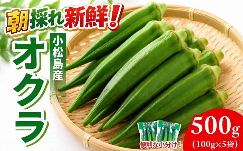 【6月下旬から発送】オクラ 500g 新鮮 朝採れ 選べる 容量 小分け おくら 朝どれ 野菜 夏 夏野菜 旬 サラダ 冷蔵 農地直送 国産 小松島市