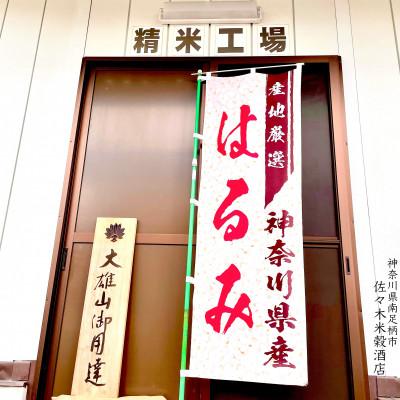 ふるさと納税 南足柄市 【令和6年産】湘南生まれ 南足柄育ちのお米「はるみ」(精米)5kg×1袋 |  | 01