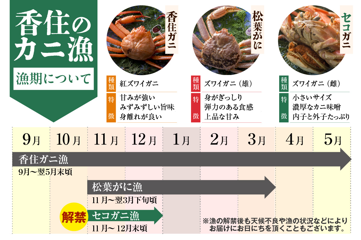 【訳あり セコガニ 約120g×8匹 釜茹で ボイル 冷凍】 国産 カニ かに 蟹 松葉がに せいこがに メスガニ 親ガニ 濃厚 かにミソ かにみそ 蟹味噌 やみつき 内子 外子 絶品 産地直送 絶妙