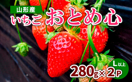 いちご『おとめ心』秀 560g(280g×2P) L以上 【令和8年産先行予約】FS23-783 くだもの 果物 フルーツ 山形 山形県 山形市 2026年産