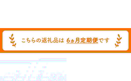 【6ヶ月定期便】コーヒー豆3種のセット 各100g(豆) 計300g 《お申込み月の翌月から出荷開始》 旬 オリジナルブレンド ---sc_utawbtei_21_50500_mo6num1---