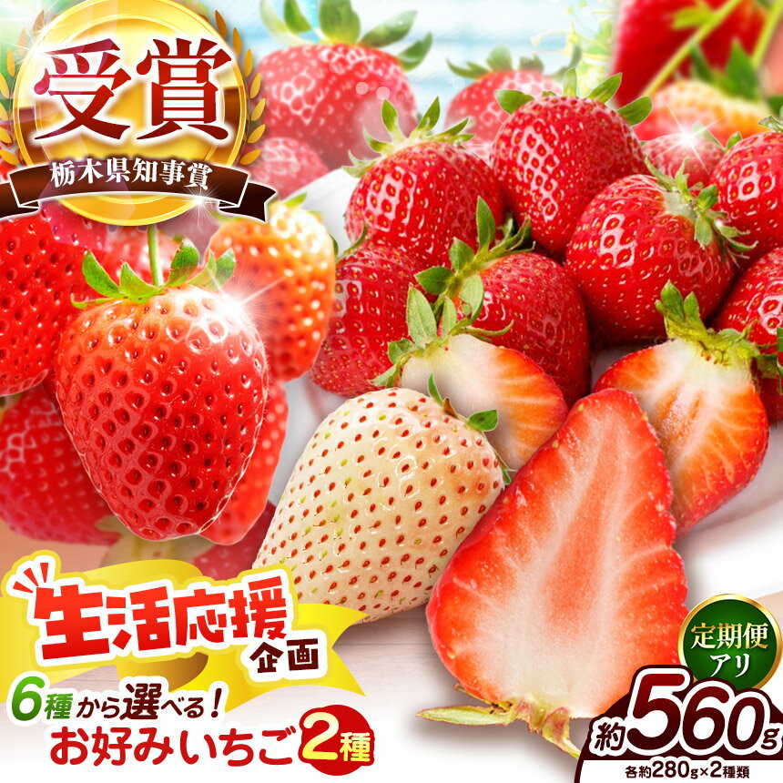 【ふるさと納税】いちご 食べ比べ 選べる6種【2027年先行予約】280g×2P（とちあいか とちおとめ スカイベリー ミルキーベリー とちひめ 女峰）定期便 有 お好みいちご｜人気 高評価 栃木県矢板市