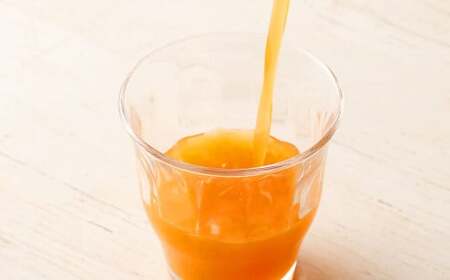 【6か月連続定期便】おいしい野菜と果実 200ml×12本×6回 合計72本 合計14.4L 果汁100% 野菜 果実 フルーツ ジュース フルーツジュース 常温 飲料 熊本県 らくのうマザーズ