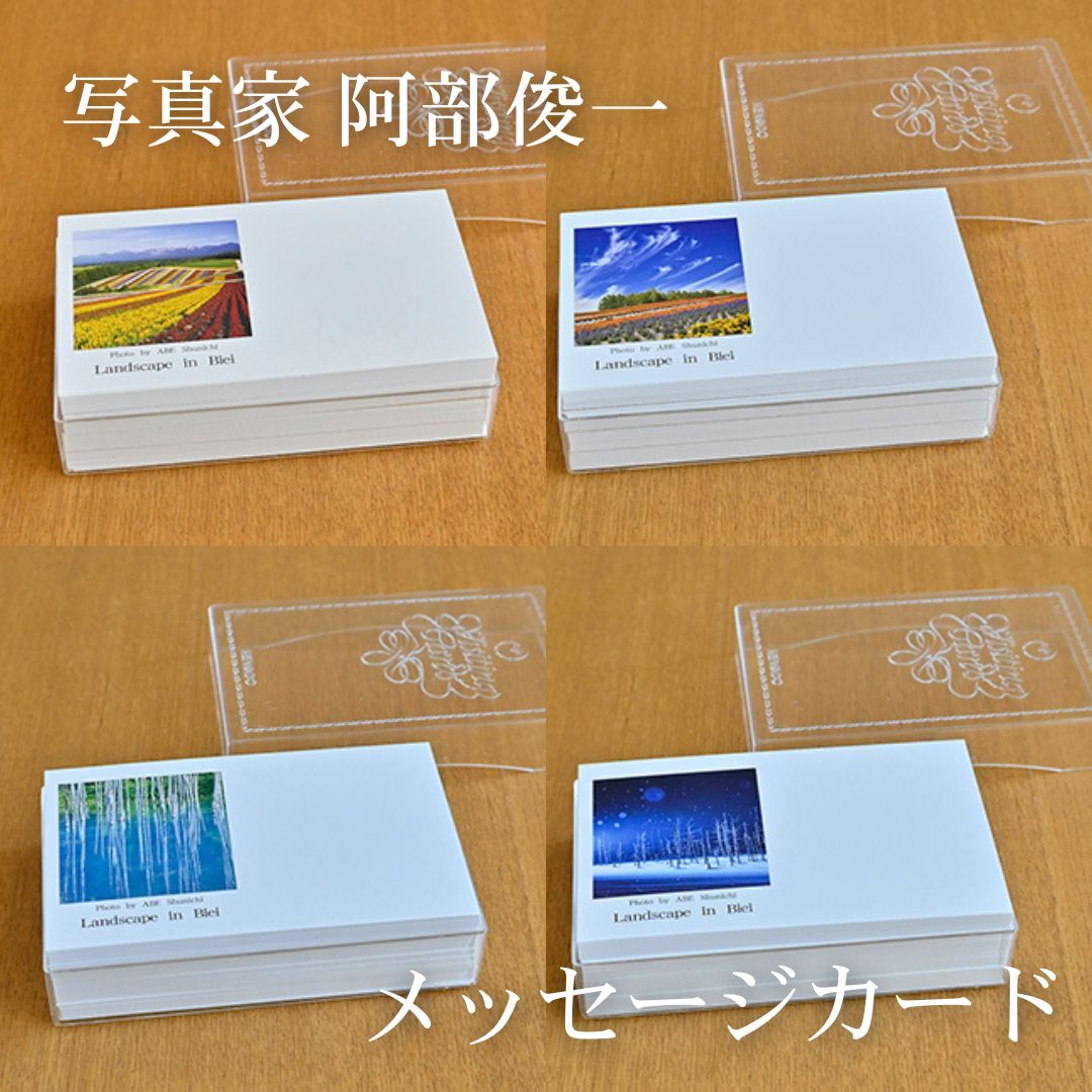 【ふるさと納税】写真家　阿部俊一　名刺台紙・メッセージカード100枚[005-05]