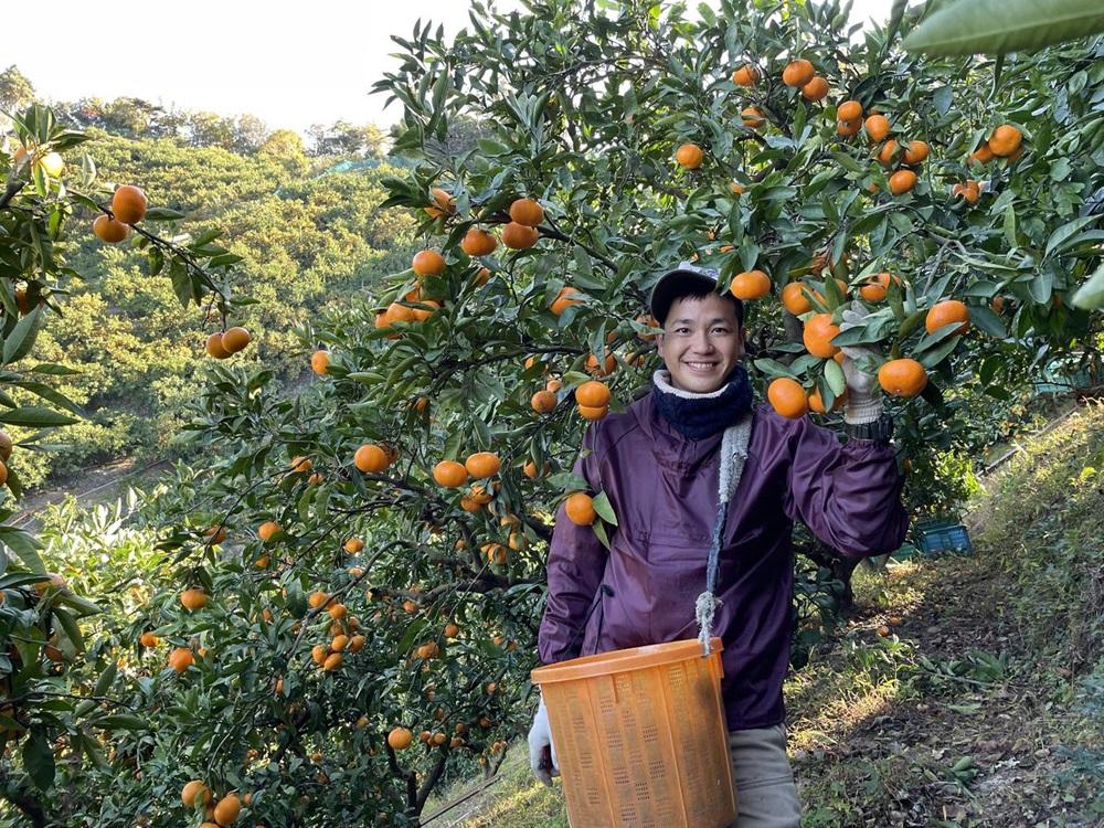 和歌山県産 有田みかん 5kg