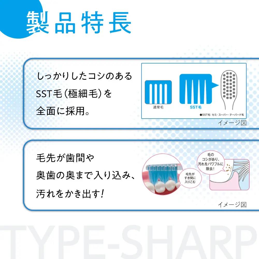 【定期便 毎月 12か月】LION ハミガキセット ｜ 日用品 ふるさと納税 歯磨き粉 歯磨き粉