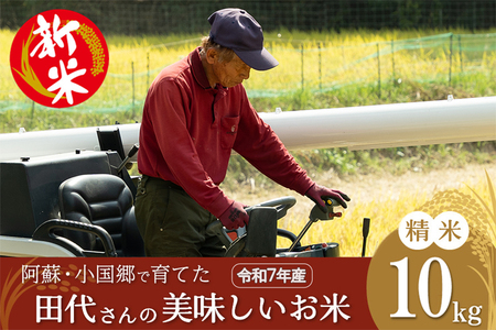 【田代農園】令和7年産 精米 10kg 田代さんのお米 銘柄おまかせ あきげしき ひのひかり こしひかり 産直 ノンブレンド米 単一原料 お米 白米 精白米 ヒノヒカリ コシヒカリ 熊本 阿蘇 小国町