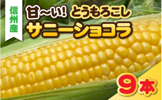 【先行予約】夏の定番　甘ーいとうもろこし　サニーショコラ　9本セット【2026年8月より収穫出来次第発送】【 信州産 とうもろこし トウモロコシ コーン 夏野菜 新鮮 甘い 高糖度 】
