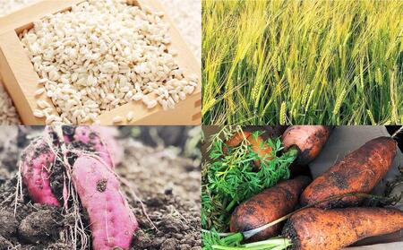 シニア犬にも！北海道産食材のみ使用 無添加ペットフード（レトルトタイプ）