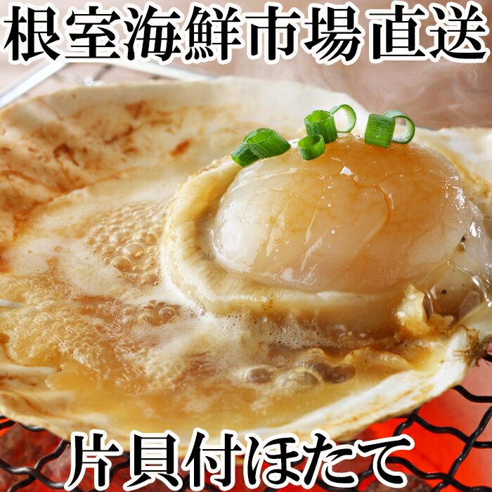 【ふるさと納税】片貝ほたて 10 枚 × 2P ホタテ ほたて 帆立 帆立貝柱 ほたて貝柱 貝柱 ホタテ貝柱 殻付き 炉端焼き お取り寄せ グルメ 北海道 根室市 ふるさと納税 A-11121