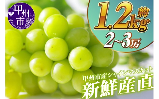 新鮮産直甲州市！シャインマスカット 約1.2kg 2～3房【2026年発送】（KSF）B12-170