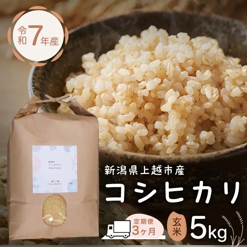【定期便】横山農園 コシヒカリ 玄米 コシヒカリ 5kg