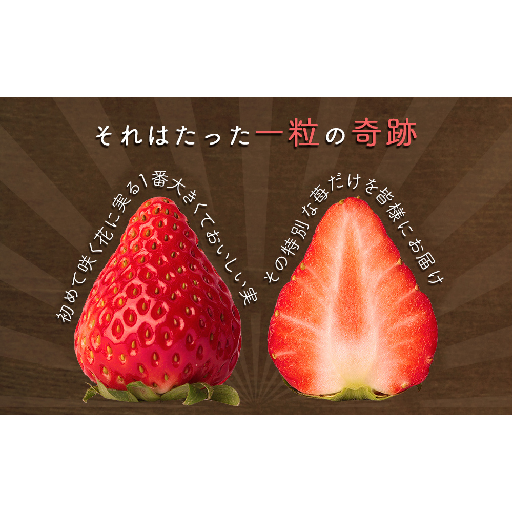 【朝摘みをお届け！】【2025年12月中旬頃より順次発送】 フルーツガーデンやまがたのいちご「うずしおベリー」特大粒24個  【数量限定】 いちご フルーツ 果物 苺 イチゴ 旬の果物 季節の果物 鳴
