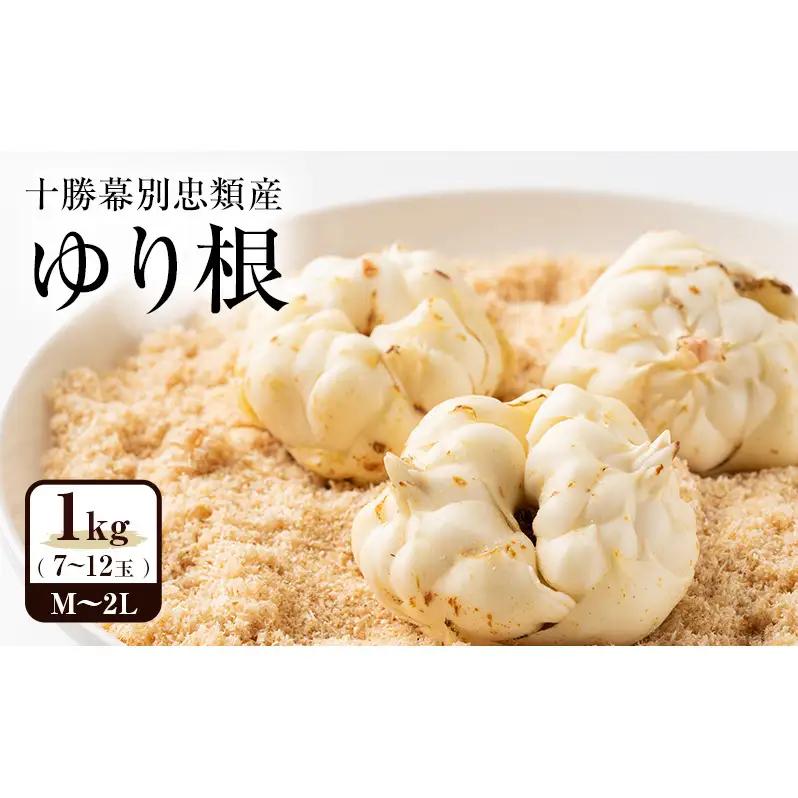 先行予約 2026年10月発送 ゆり根 1kg（7～12玉）