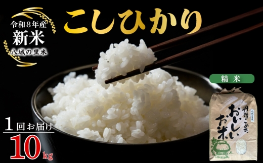 【令和8年産先行予約】【1回お届け】こしひかり 精米 10kg