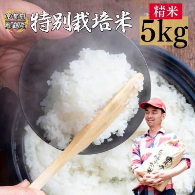 ふるさと納税 舞鶴市 令和8年産 棚田米 5kg 白米 コシヒカリ 特別栽培米 7割削減