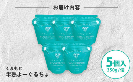 オオヤブデイリーファーム くまもと半熟よーぐるちょ 350g×5個セット【株式会社 オオヤブデイリーファーム】[AYAE004]