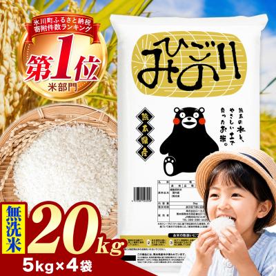 ふるさと納税 氷川町 ひごみのり 無洗米 熊本県産 ブレンド米 20kg《1-5日以内に出荷予定(土日祝除く)》