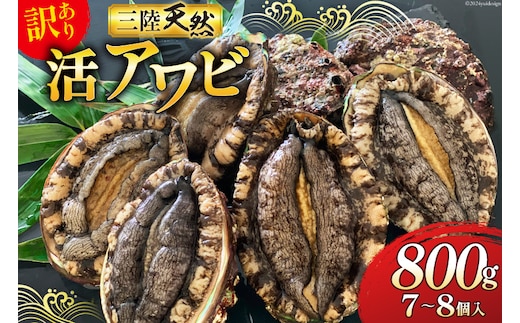 
										
										海鮮 訳あり 三陸産 活アワビ 800g (7～8個) [マルヤ五洋水産 宮城県 南三陸町 30al0006] あわび 鮑 天然 蝦夷あわび 貝 冷蔵 刺身 刺し身 活き ステーキ
									