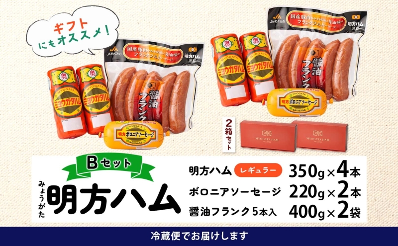 明方 ハム Bセット ボロニア ソーセージ フランクフルト JA ブランド 豚肉 お肉 国産 熟成 塩分 控えめ 豚腸 バーベキュー BBQ 加工品 お取り寄せ 贈答 ギフト 送料無料 めぐみの農業協