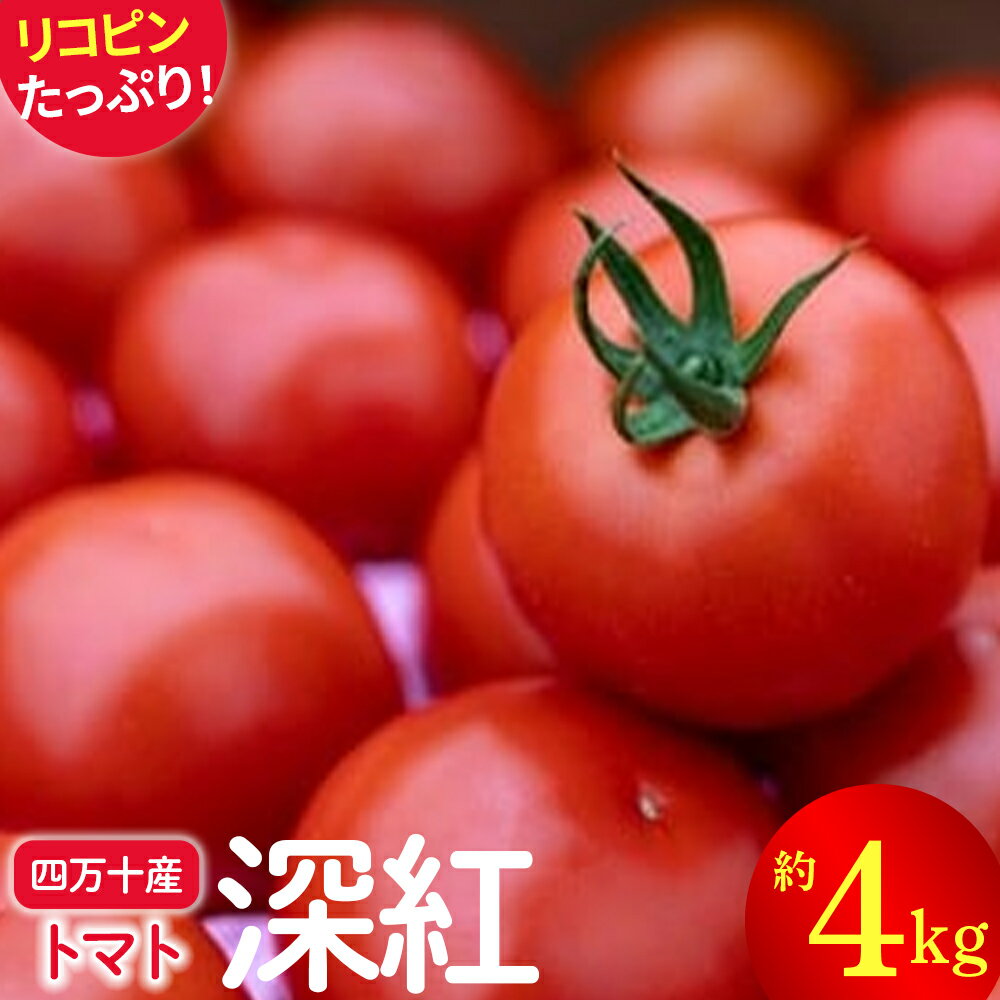 【ふるさと納税】赤さがリコピン満載の証！四万十産トマト「深紅」4kg（1箱24～55玉）／Fbg-006　野菜 新鮮 鮮度 抜群 トマト 完熟トマト 評判 好評 人気 濃厚 とまと リコピン パスタ トマトジュース ジャム 健康食品 美肌 美容 免疫 緑黄色野菜