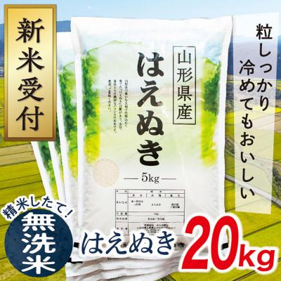 ふるさと納税 最上町 【令和8年産先行受付】山形県産はえぬき20kg(無洗米)