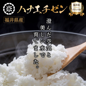 【定期便3回】福井県産 ハナエチゼン 玄米 5kg（5kg×1）＜令和7年産 新米 / 数量限定 ＞【米 コメ お米 精米 白米 無洗米 玄米 ご飯 飯 華越前 ブランド米 国産】[095-t3-a0