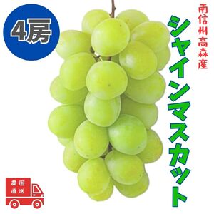 【南信州高森産】シャインマスカット 4房
