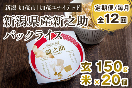 【定期便12ヶ月毎月お届け】新潟県産 新之助 玄米パックライス（150g×20個入） 新潟産米 自宅で簡単 パックごはん 時短 贈り物にも ブランド米 加茂市 加茂ユナイテッド 米 米 米 米 米 米